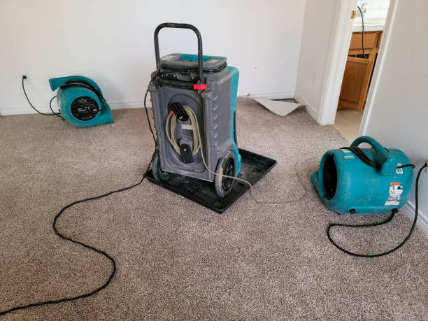 Best Carpet water damage restoration  in Poncha Springs, CO