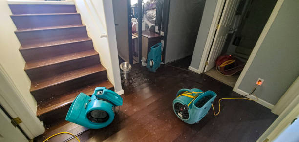 Best Water damage cleanup near me  in Poncha Springs, CO