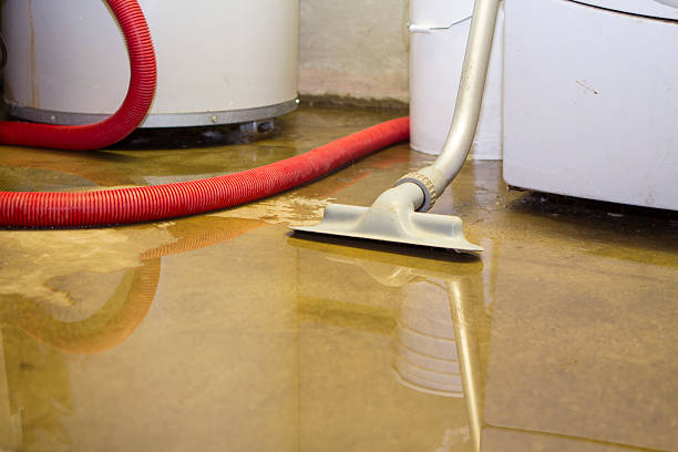 Best Water damage restoration experts  in Poncha Springs, CO